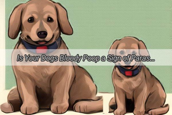 Is Your Dogs Bloody Poop a Sign of Parasitic Intruders Uncover the Truth